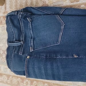 FRAME women's le skinny jeanne sz 24 cobbert